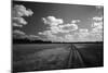 Zimbabwe, View of Road Near Linkwasha Airstrip-Stuart Westmorland-Mounted Photographic Print
