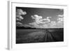 Zimbabwe, View of Road Near Linkwasha Airstrip-Stuart Westmorland-Framed Photographic Print