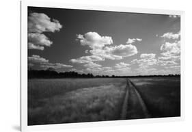 Zimbabwe, View of Road Near Linkwasha Airstrip-Stuart Westmorland-Framed Photographic Print