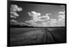 Zimbabwe, View of Road Near Linkwasha Airstrip-Stuart Westmorland-Framed Photographic Print