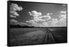 Zimbabwe, View of Road Near Linkwasha Airstrip-Stuart Westmorland-Framed Stretched Canvas