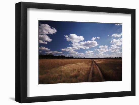 Zimbabwe, View of Road Near Linkwasha Airstrip-Stuart Westmorland-Framed Photographic Print