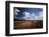 Zimbabwe, View of Road Near Linkwasha Airstrip-Stuart Westmorland-Framed Photographic Print