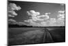 Zimbabwe, View of Road Near Linkwasha Airstrip-Stuart Westmorland-Mounted Photographic Print