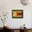 Zimbabwe-David Bowman-Framed Stretched Canvas displayed on a wall