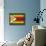 Zimbabwe-David Bowman-Stretched Canvas displayed on a wall