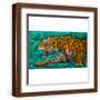 Brown Frame