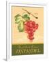 Zinfandel-Pamela Gladding-Framed Art Print