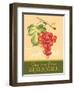 Zinfandel-Pamela Gladding-Framed Art Print