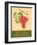 Zinfandel-Pamela Gladding-Framed Art Print