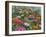 Zinnia Bouquet-Fred Szatkowski-Framed Art Print