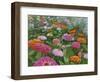 Zinnia Bouquet-Fred Szatkowski-Framed Art Print