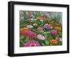 Zinnia Bouquet-Fred Szatkowski-Framed Art Print