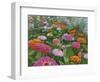 Zinnia Bouquet-Fred Szatkowski-Framed Art Print