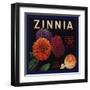 Zinnia Brand - Upland, California - Citrus Crate Label-Lantern Press-Framed Art Print