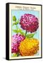 Zinnia Elegant Double A Fleur De Dahlia-null-Framed Stretched Canvas