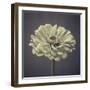 Zinnia Floral-Assaf Frank-Framed Giclee Print