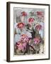 Zinnia I-Erin McGee Ferrell-Framed Art Print