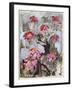 Zinnia I-Erin McGee Ferrell-Framed Art Print