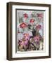 Zinnia I-Erin McGee Ferrell-Framed Art Print