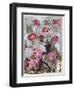 Zinnia I-Erin McGee Ferrell-Framed Art Print