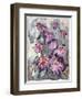 Zinnia II-Erin McGee Ferrell-Framed Art Print