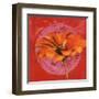 Zinnia Orange sur Pos Rose-Valerie Roy-Framed Art Print