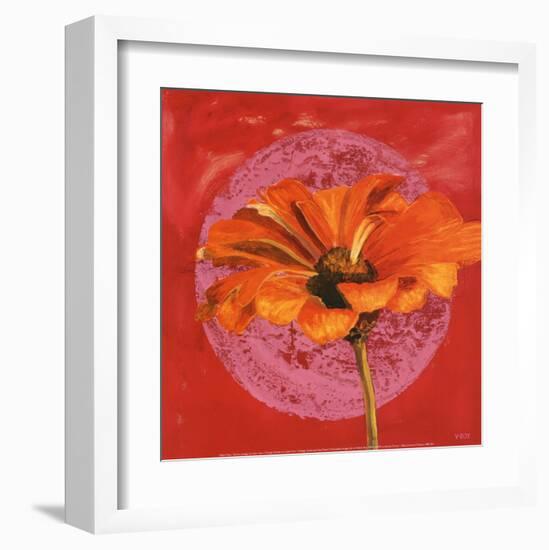 Zinnia Orange sur Pos Rose-Valerie Roy-Framed Art Print