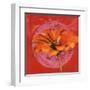 Zinnia Orange sur Pos Rose-Valerie Roy-Framed Art Print