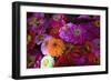 Zinnia's at a Farmer's Market in Savannah, Savannah, Georgia, USA-Joanne Wells-Framed Photographic Print