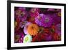 Zinnia's at a Farmer's Market in Savannah, Savannah, Georgia, USA-Joanne Wells-Framed Photographic Print