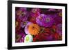 Zinnia's at a Farmer's Market in Savannah, Savannah, Georgia, USA-Joanne Wells-Framed Photographic Print