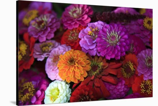 Zinnia's at a Farmer's Market in Savannah, Savannah, Georgia, USA-Joanne Wells-Stretched Canvas