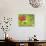 Zinnia, Seattle, Washington, USA-Terry Eggers-Stretched Canvas displayed on a wall
