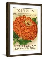 Zinnia Seed Packet-null-Framed Art Print