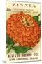 Zinnia Seed Packet-null-Mounted Art Print