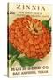Zinnia Seed Packet-null-Stretched Canvas