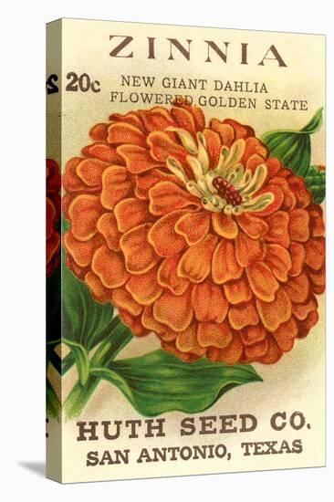 Zinnia Seed Packet-null-Stretched Canvas