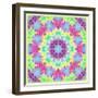 Zinnia with Orchid and Colorful Pop Floral Ornaments, Symmetric Floral Montage, Layer Work-Alaya Gadeh-Framed Photographic Print