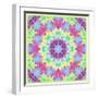 Zinnia with Orchid and Colorful Pop Floral Ornaments, Symmetric Floral Montage, Layer Work-Alaya Gadeh-Framed Photographic Print