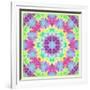 Zinnia with Orchid and Colorful Pop Floral Ornaments, Symmetric Floral Montage, Layer Work-Alaya Gadeh-Framed Photographic Print