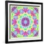 Zinnia with Orchid and Colorful Pop Floral Ornaments, Symmetric Floral Montage, Layer Work-Alaya Gadeh-Framed Photographic Print
