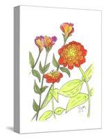 Zinnia-Beverly Dyer-Stretched Canvas