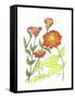 Zinnia-Beverly Dyer-Framed Stretched Canvas