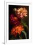 Zinnia-Vivienne Dupont-Framed Art Print