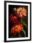 Zinnia-Vivienne Dupont-Framed Art Print