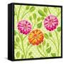 Zinnias I-Patty Young-Framed Stretched Canvas