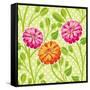 Zinnias I-Patty Young-Framed Stretched Canvas
