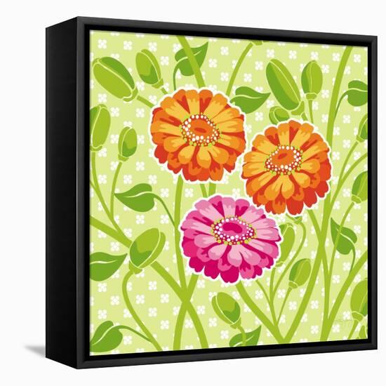 Zinnias II-Patty Young-Framed Stretched Canvas