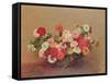 Zinnias in a Glass Bowl, 1886-Henri Fantin-Latour-Framed Stretched Canvas